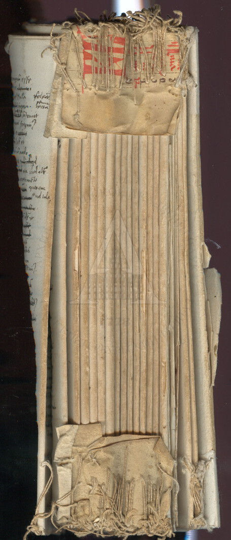 Manuscript Spine